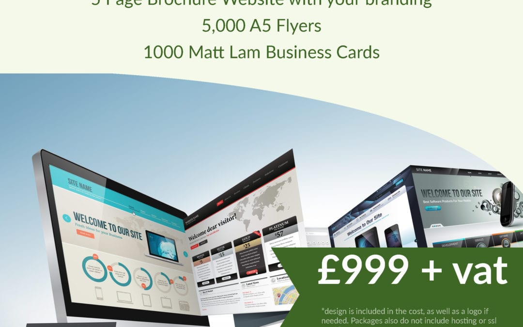 NEW WEB & PRINT PROFESSIONAL BUSINESS PACKAGE